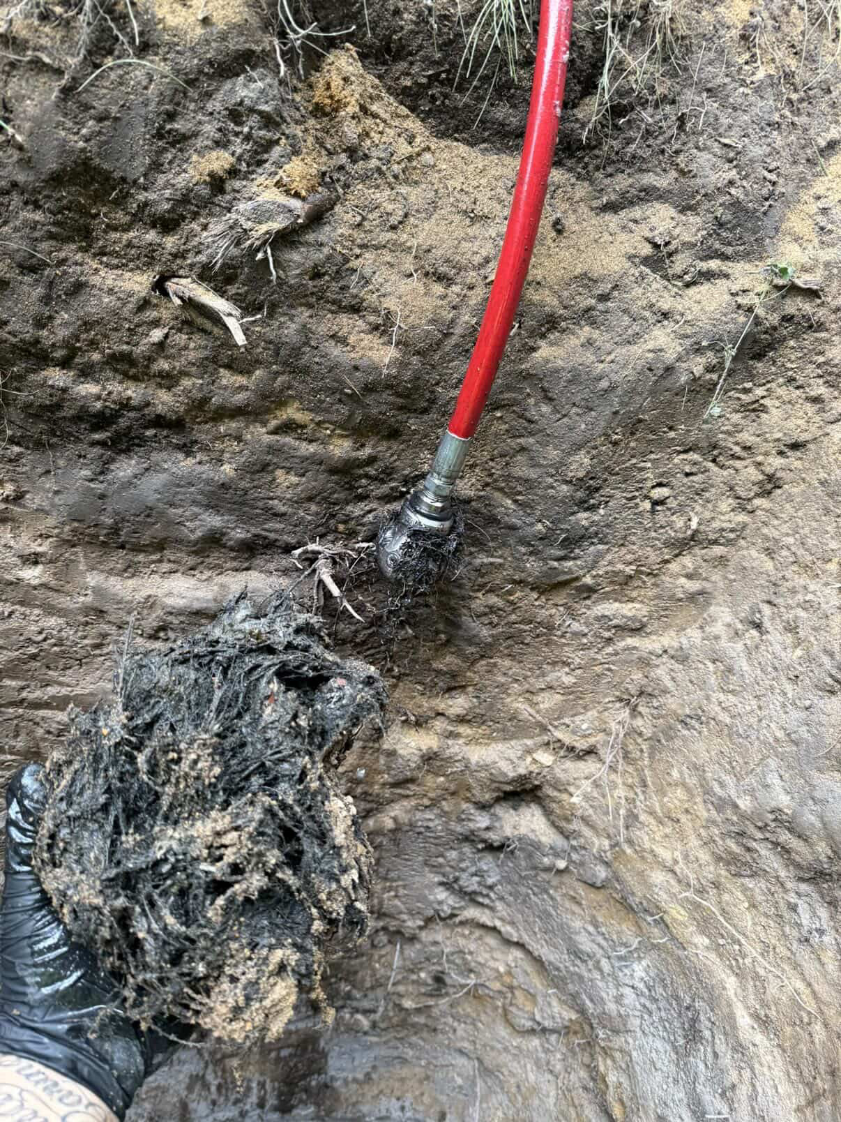 Tree roots blasted out of a sewer line by hydro jetting